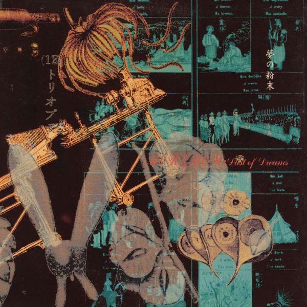 Dust of Dreams album cover