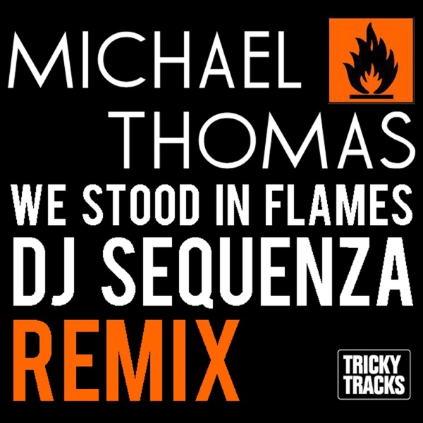 We Stood In Flames (Dj Sequenza Remix) - Single album cover