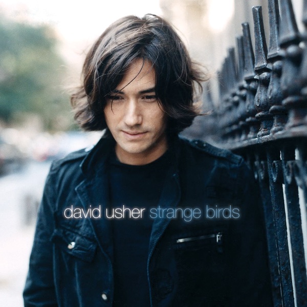 Strange Birds album cover