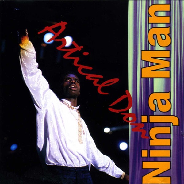 Artical Don album cover