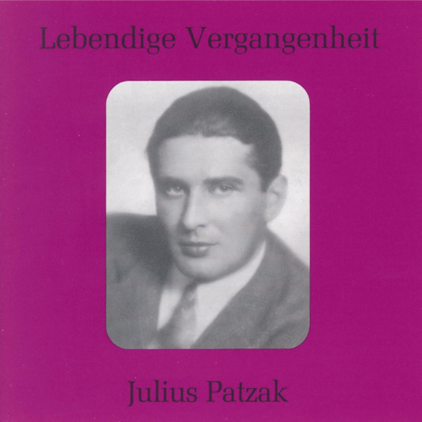 Lebendige Vergangenheit - Julius Patzak album cover