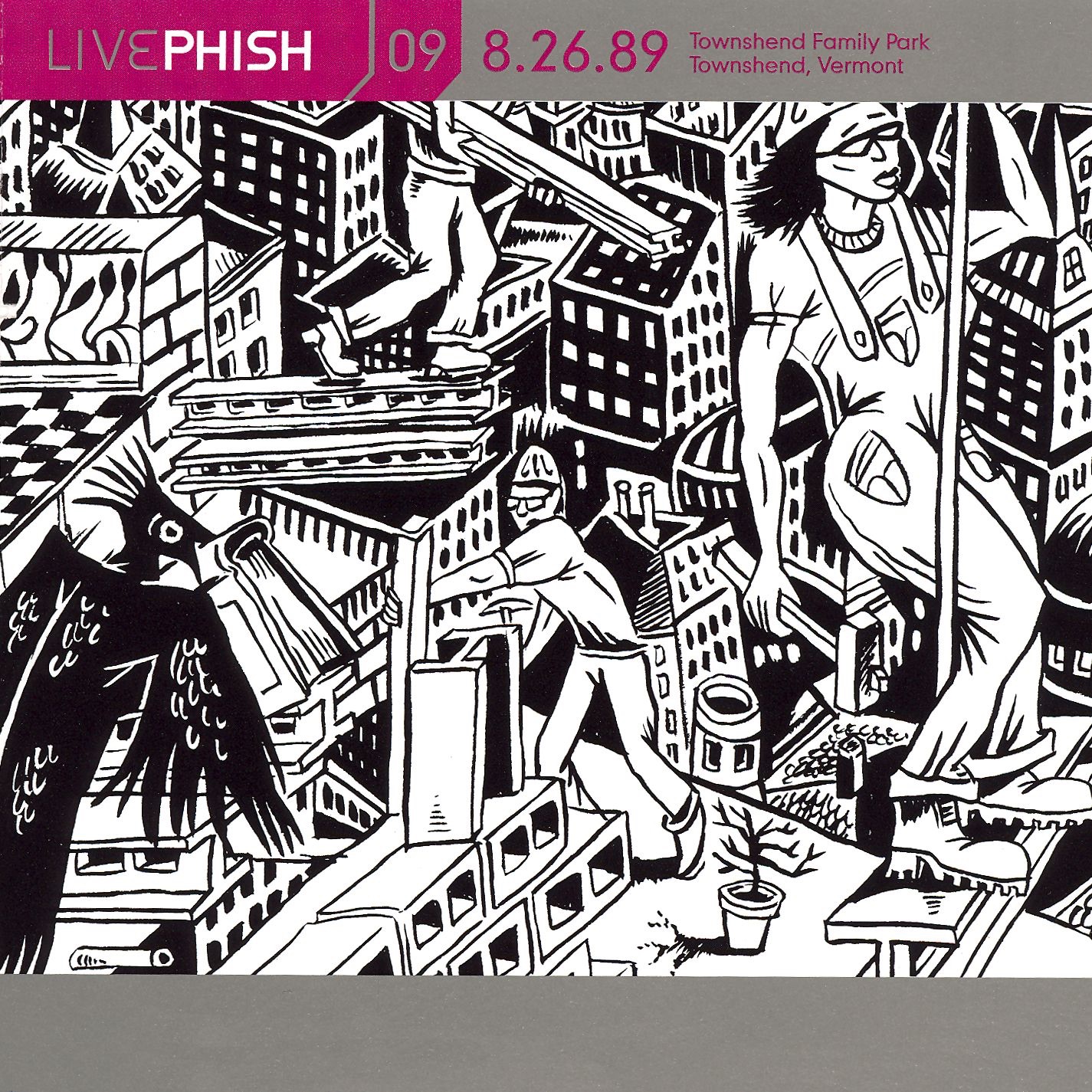 Live Phish, Volume 9: 8/26/89 (Townshend Family Park, Townshend, VT) album cover