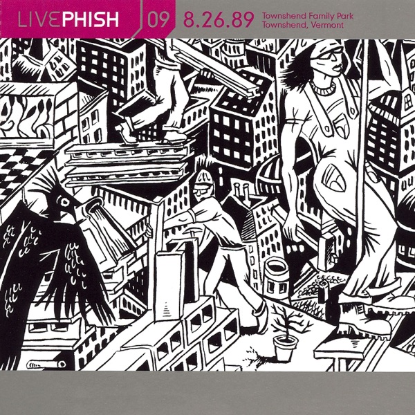 Live Phish, Volume 9: 8/26/89 (Townshend Family Park, Townshend, VT) album cover