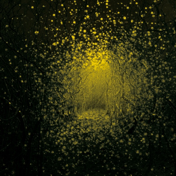 Burst Apart (Deluxe Version) album cover