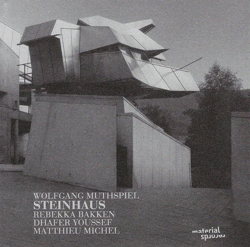 Steinhaus album cover