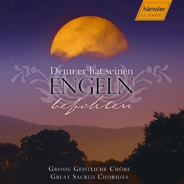 Denn er hat seinen Engeln album cover