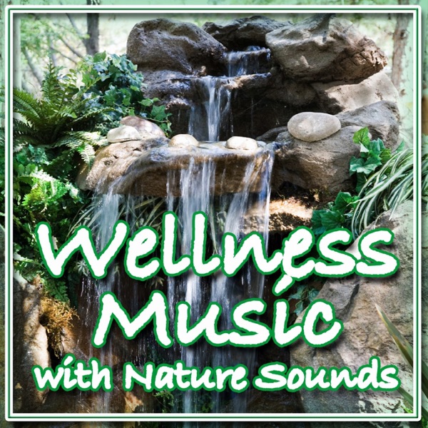 Wellness Music With Nature Sounds (Instrumental) album cover