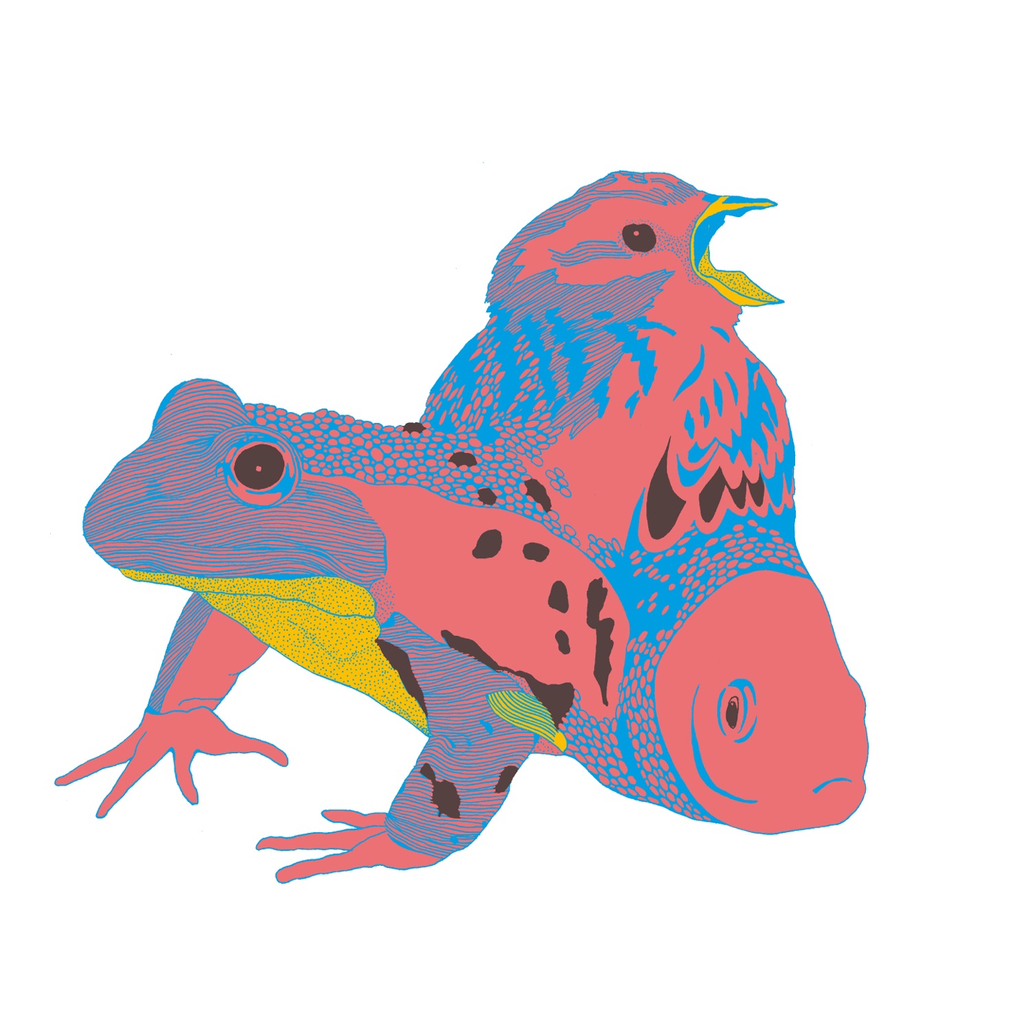 Schneeweiss Und Rosenrot album cover