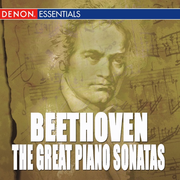 Beethoven: The Great Piano Sonatas album cover