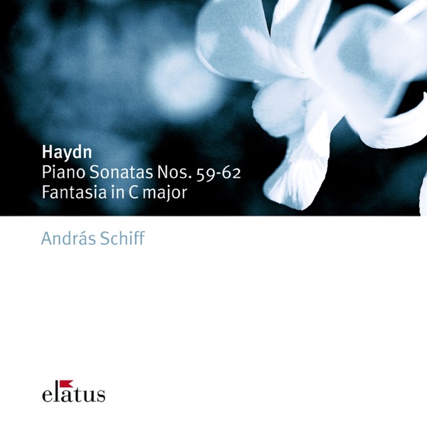 Haydn: Sonatas and Fantasia in C Major album cover