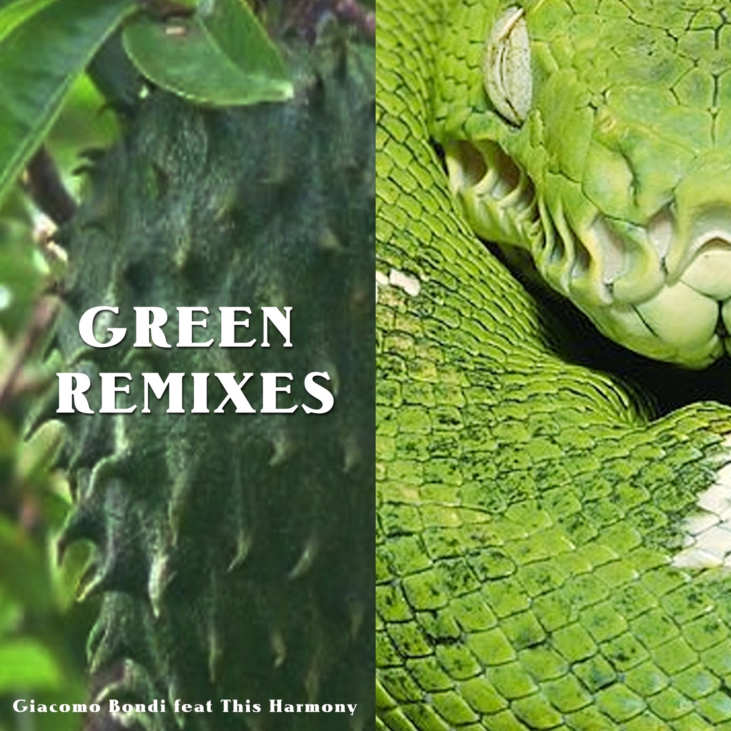 Green Remixes (feat. This Harmony) - EP album cover