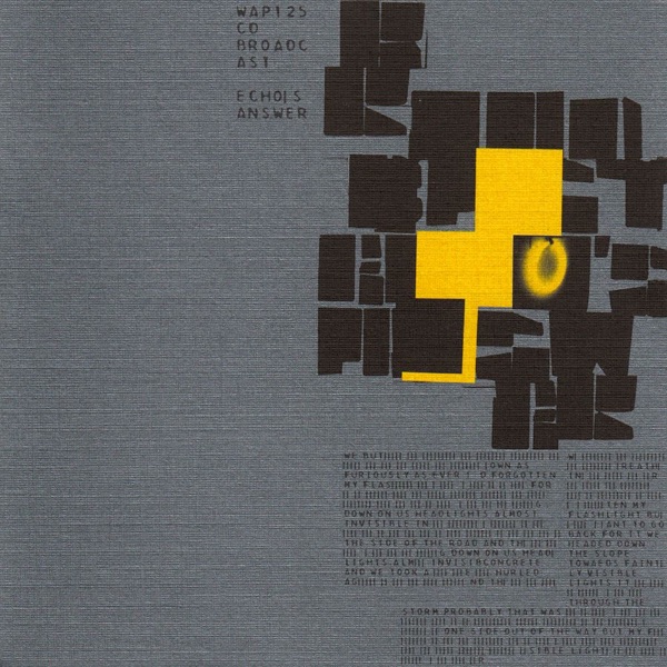 Echo's Answer - Single album cover