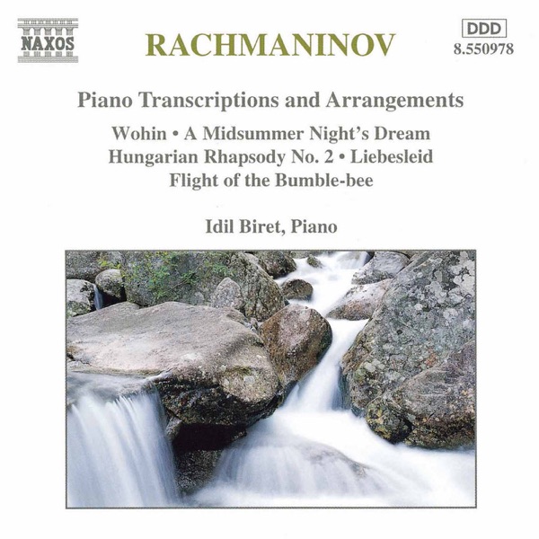 Rachmaninov: Piano Transcriptions and Arrangements album cover