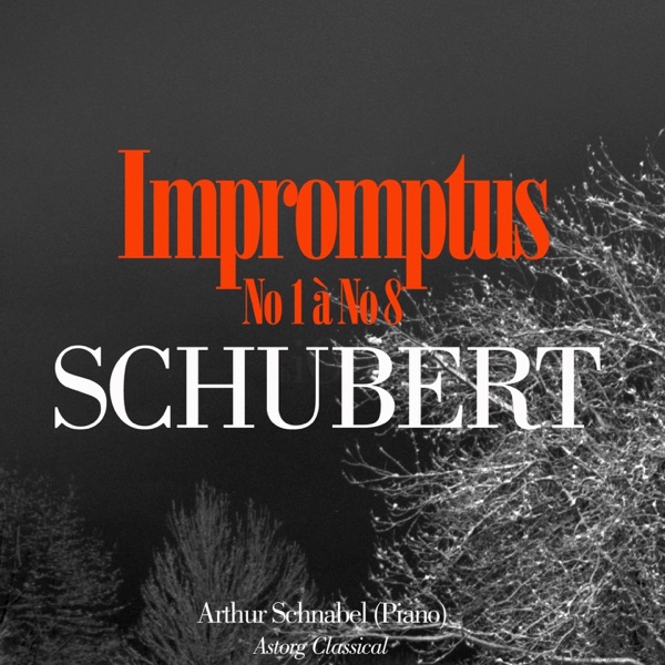 Schubert: Impromptus album cover