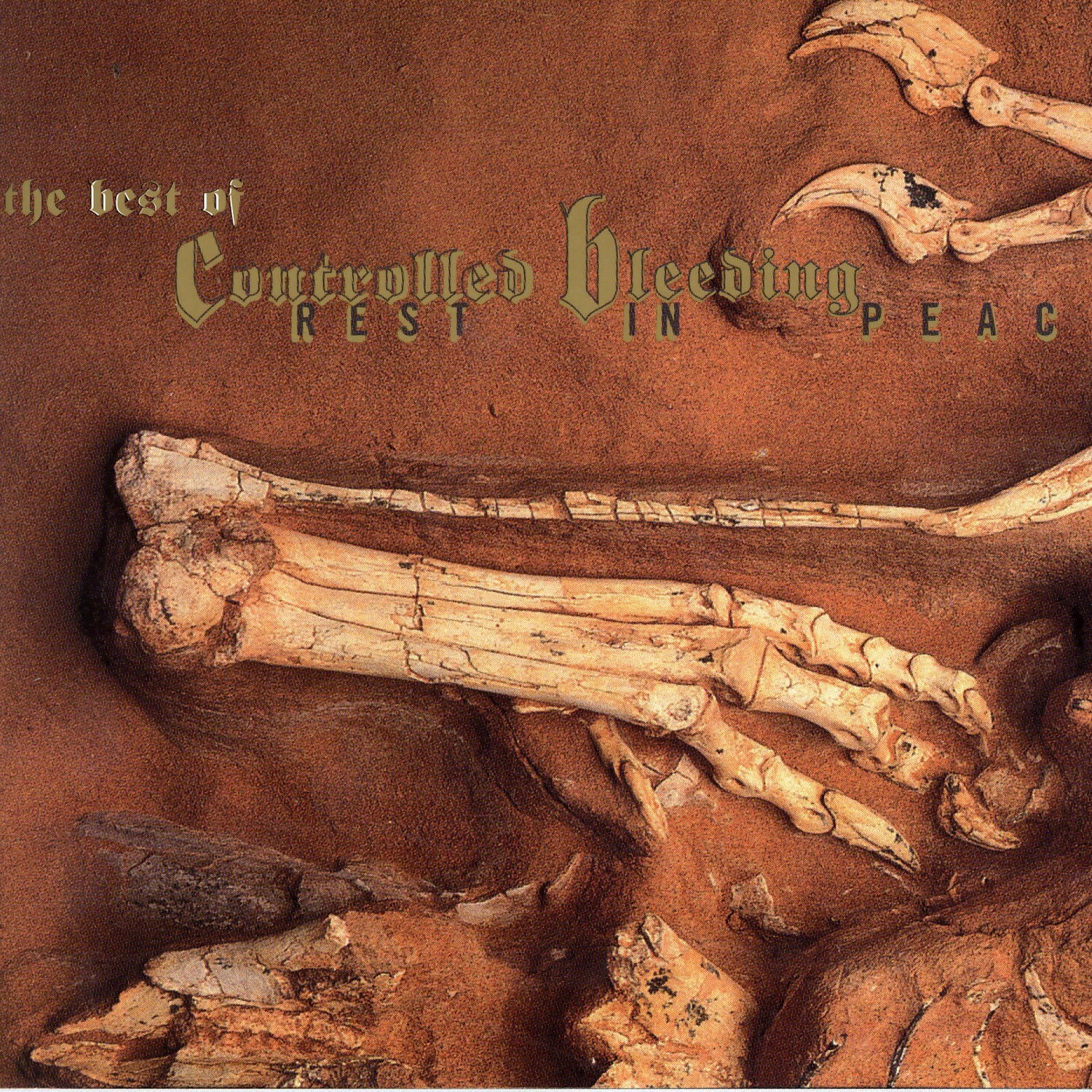 Rest In Peace - the Best Of… album cover