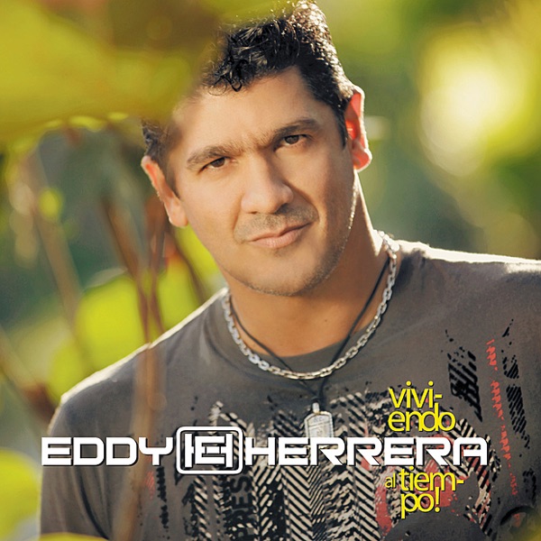 Vida Loca (Remix) - Single album cover
