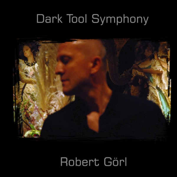 Dark Tool Symphony - EP album cover