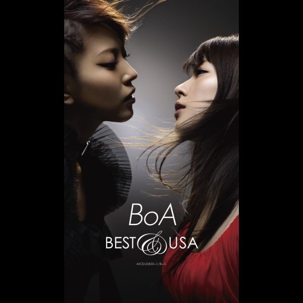 BEST&USA album cover