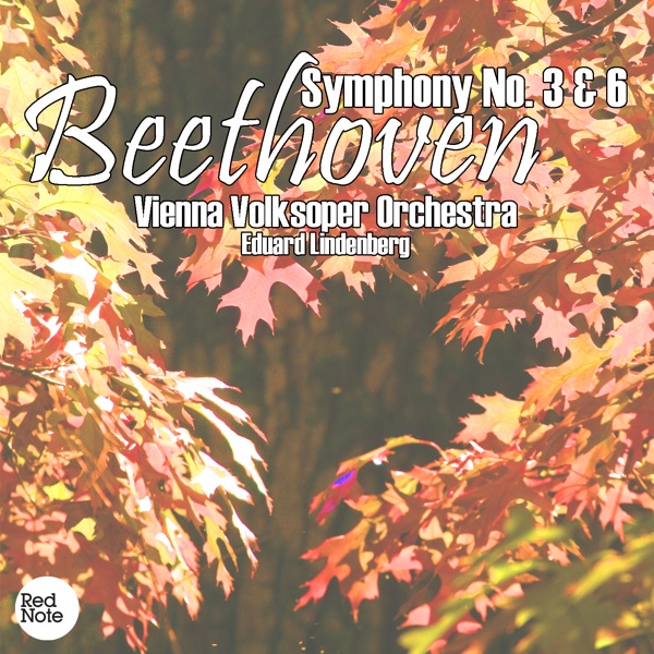 Beethoven: Symphony No. 3 & 6 album cover