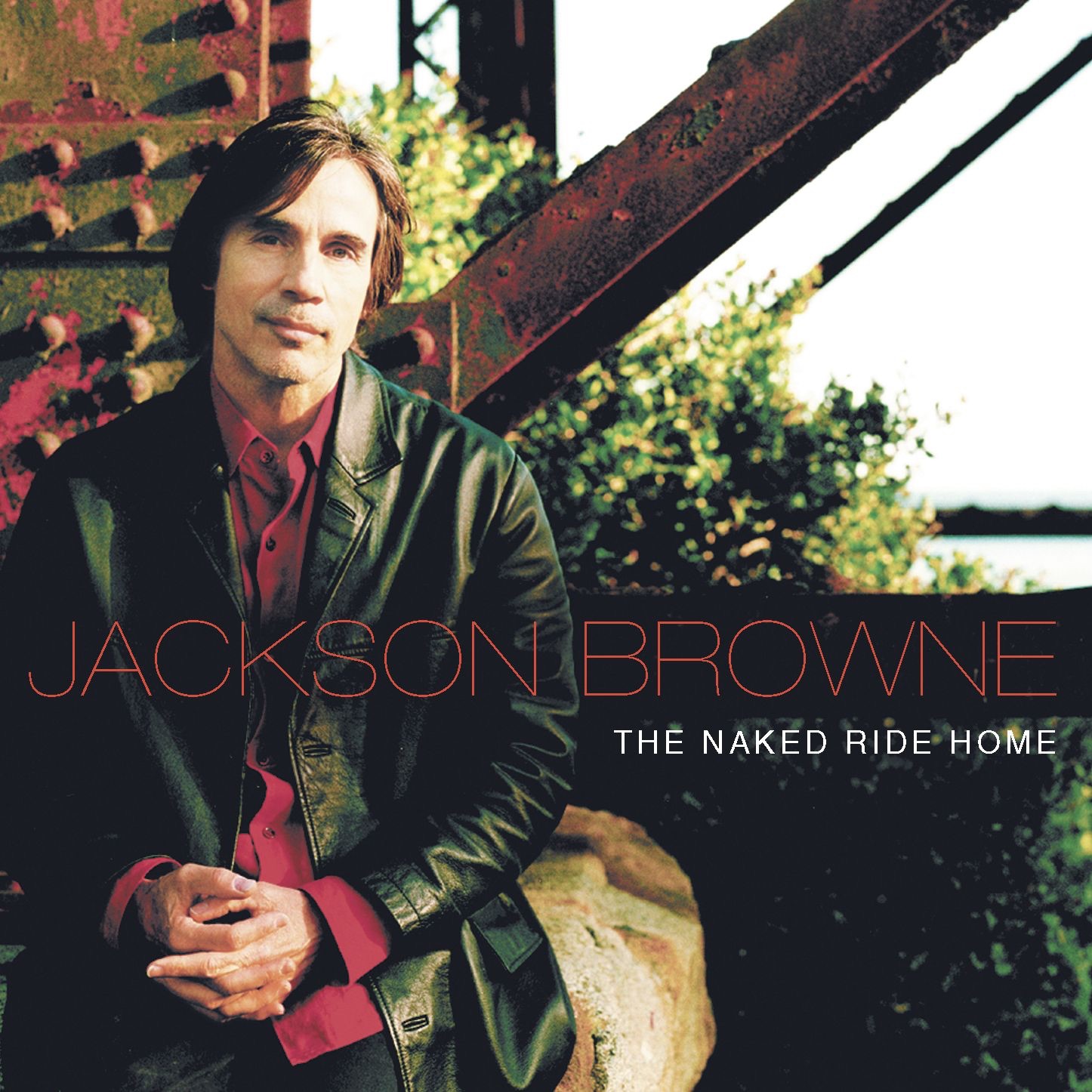 The Naked Ride Home album cover