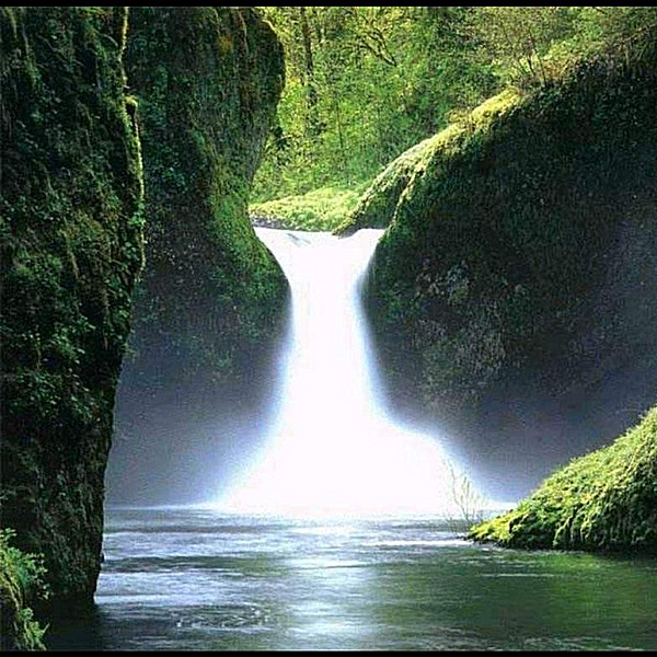 Restore internal environment (Blood, lymph, tissue fluid, metabolism) album cover