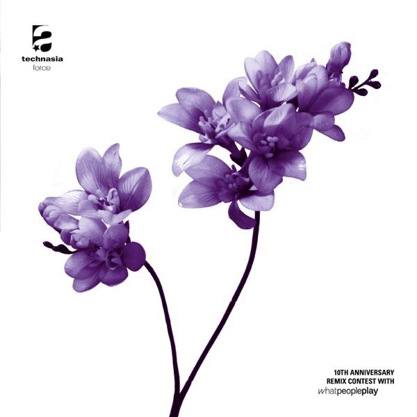 Force 10th Anniversary Contest album cover