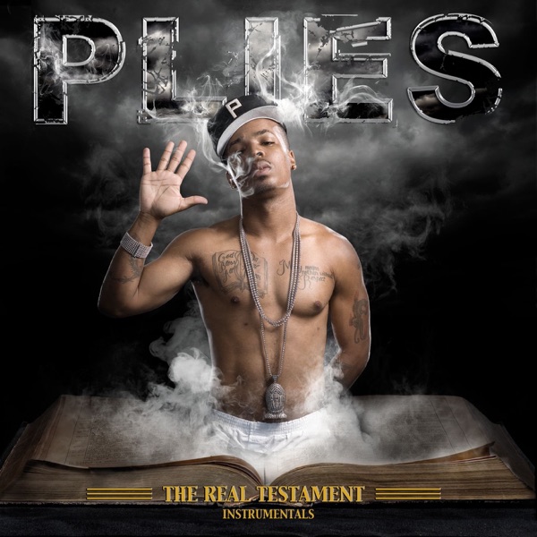 The Real Testament (Instrumental) album cover