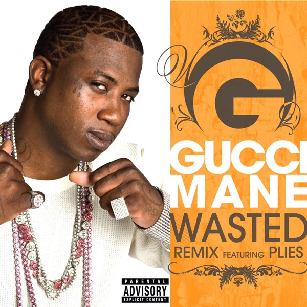 Wasted (Remix) [feat. Plies] - Single album cover