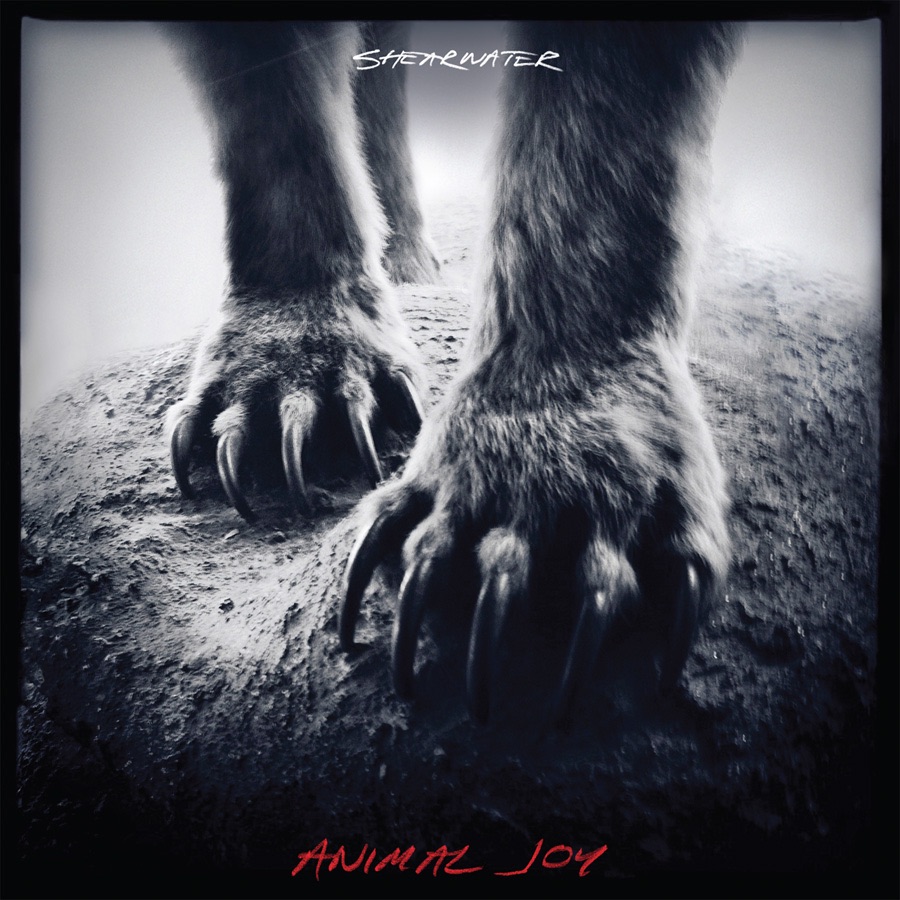 Animal Joy (Bonus Track Version) album cover