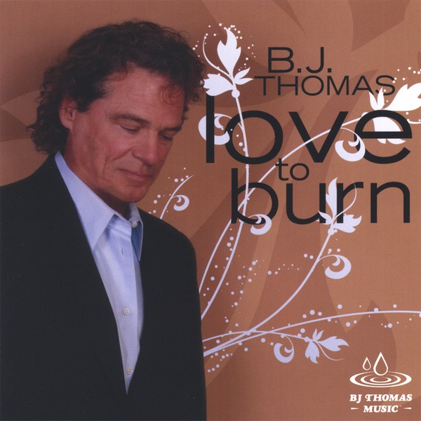Love to Burn album cover