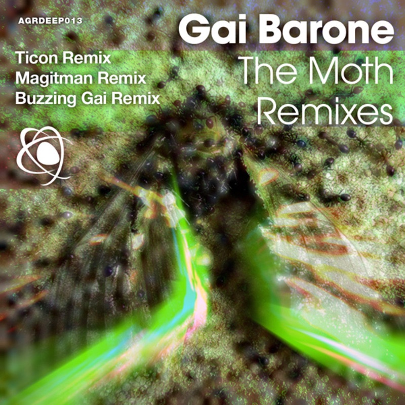 The Moth - Remixes - Single album cover