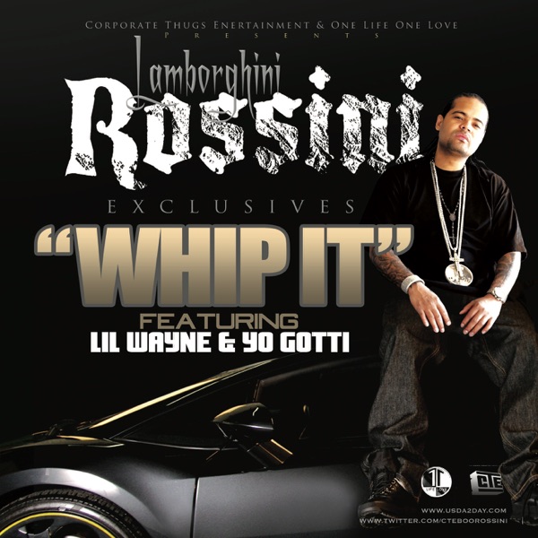 Whip It (feat. Boo Rossini, Lil Wayne & Yo Gotti) - Single album cover
