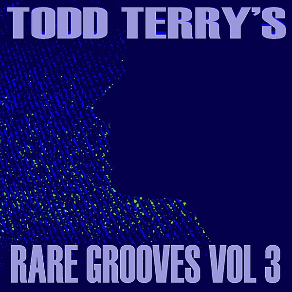 Todd Terry's Rare Grooves, Vol. III album cover