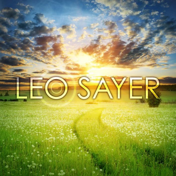 Leo Sayer album cover