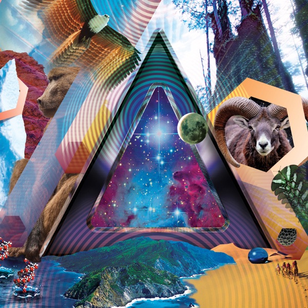 Universal Pulse album cover