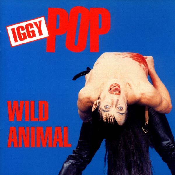 Wild Animal (Live at the Agora Ballroom in Cleveland, Ohio. March 21, 1977) album cover