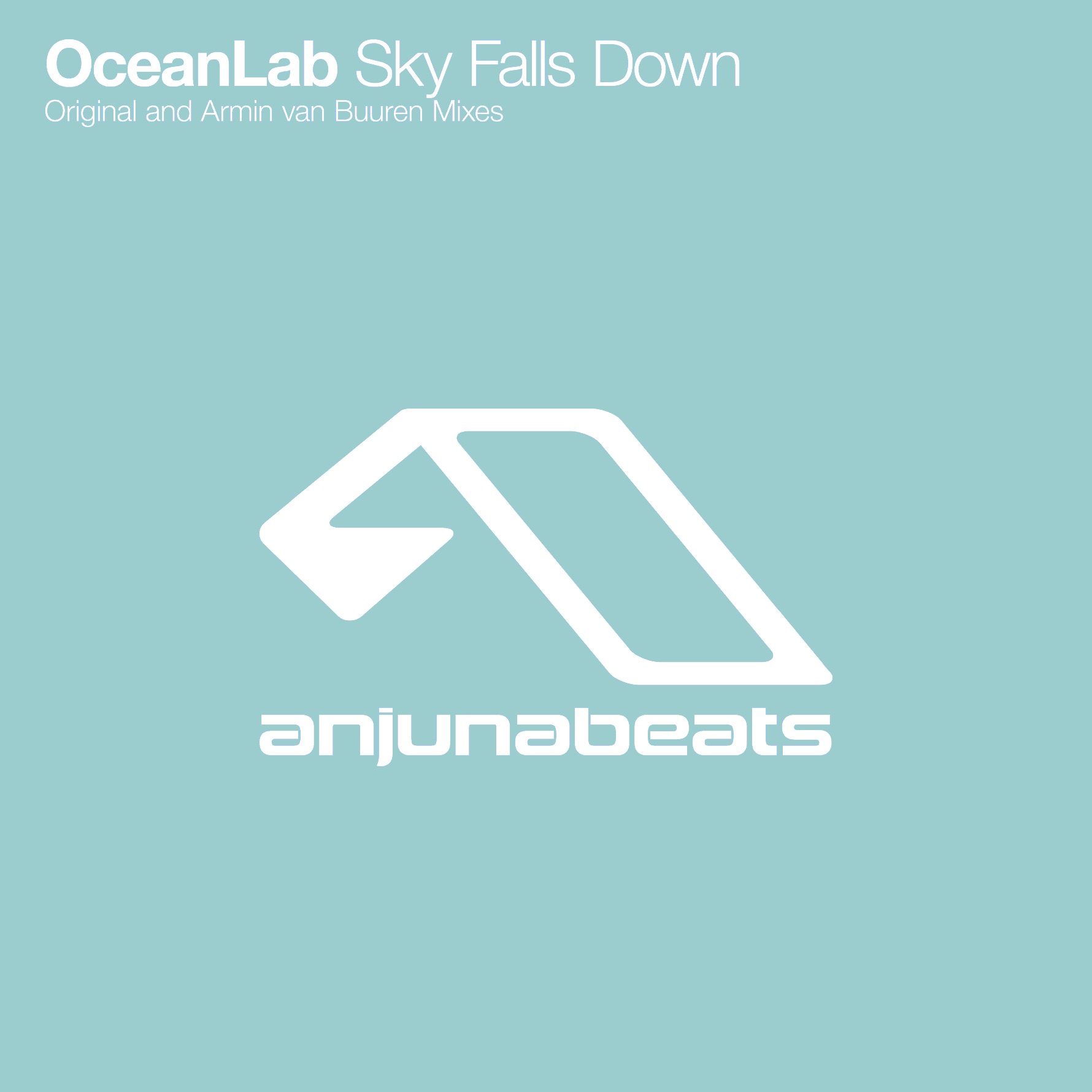 Sky Falls Down album cover