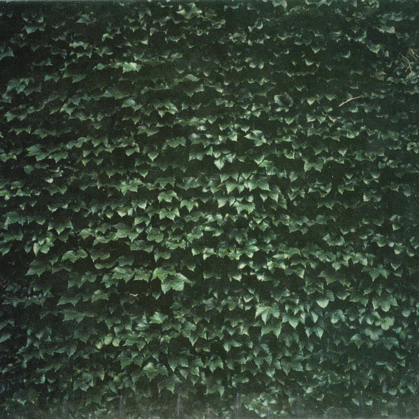 The Order of Things album cover