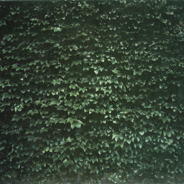 The Order of Things album cover