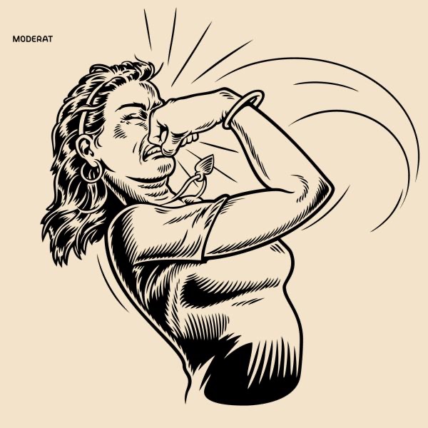 Moderat (Video Album) album cover