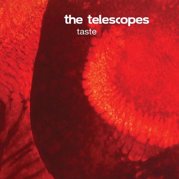 Taste / The Perfect Needle album cover