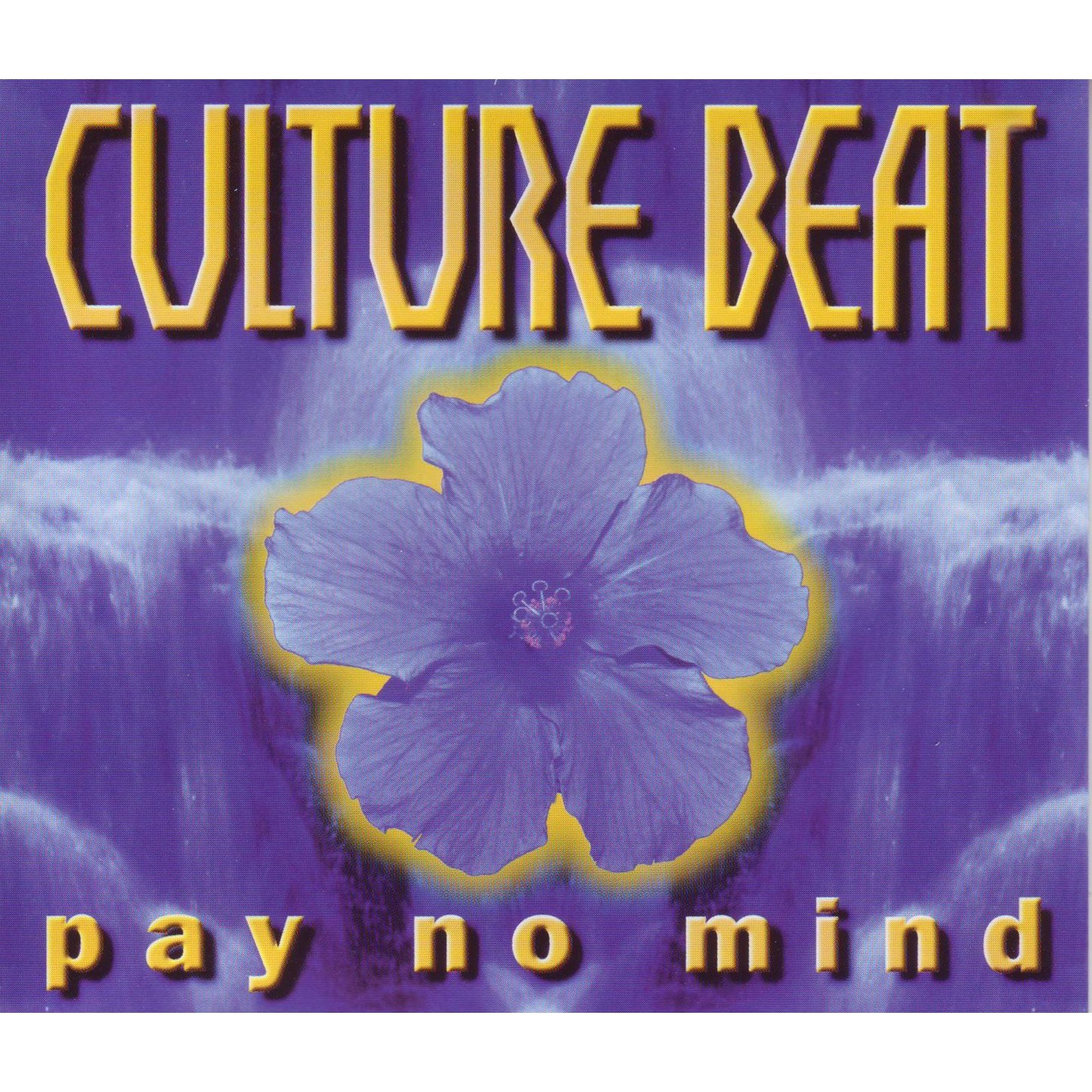 Pay No Mind - Single album cover