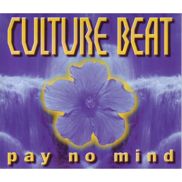 Pay No Mind - Single album cover
