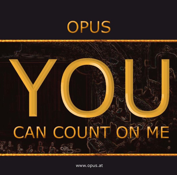 You Can Count On Me (Radio Version) - Single album cover
