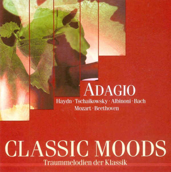 Classic Moods album cover