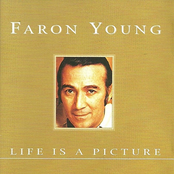 Life Is a Picture album cover