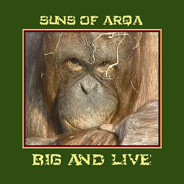 Big and Live album cover