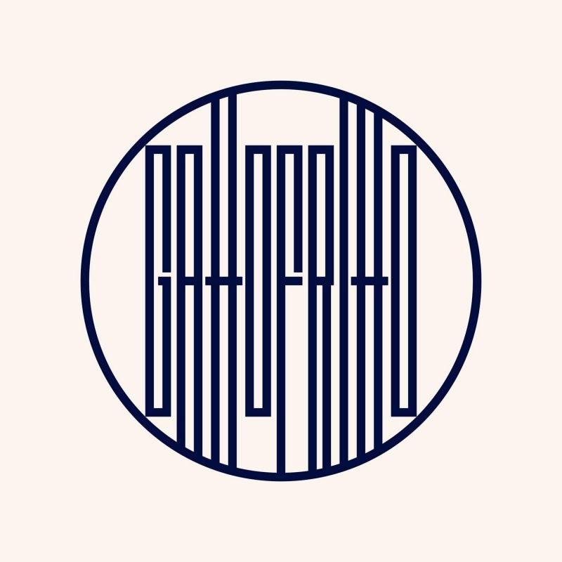 Gatto Fritto album cover