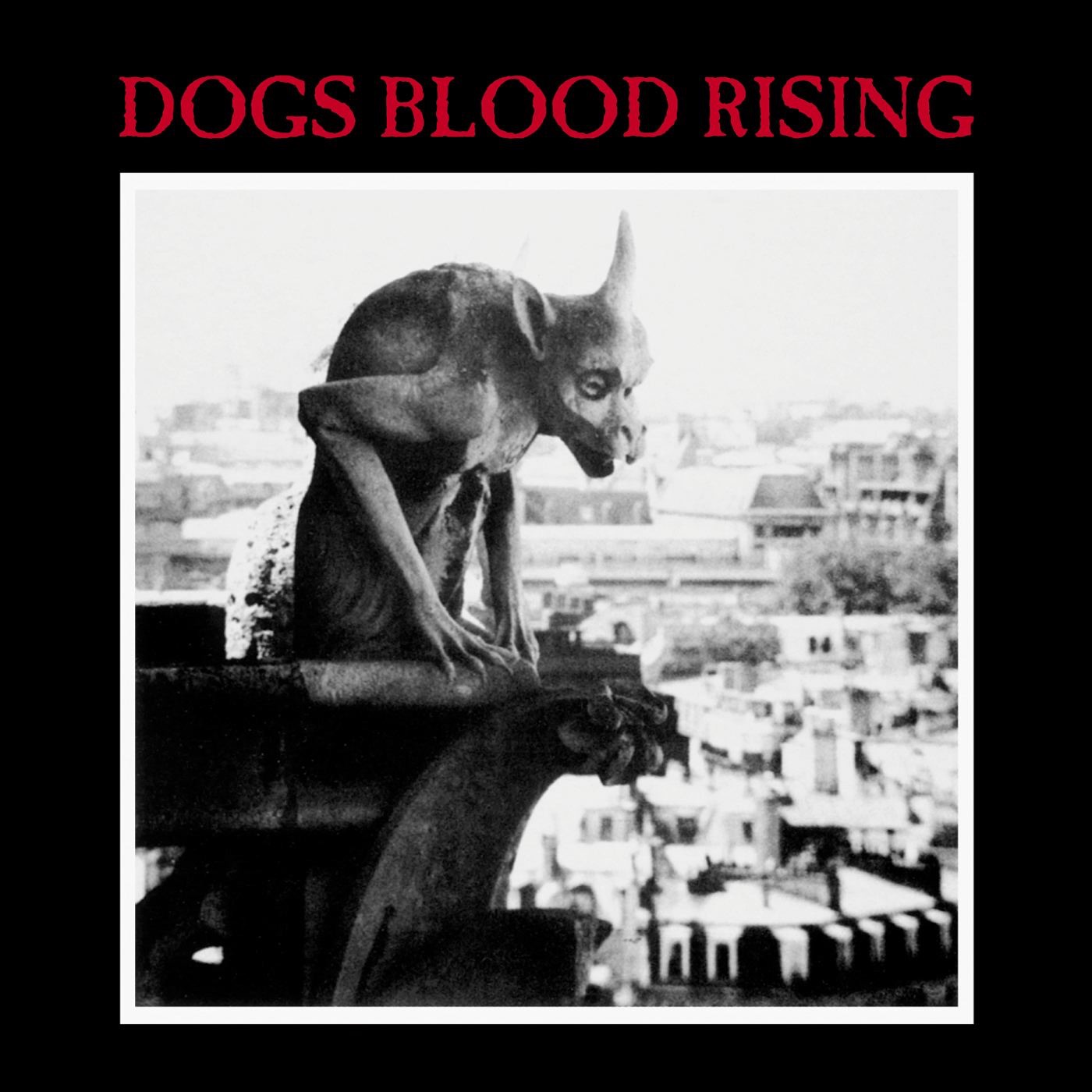 Dogs Blood Rising (Remastered) album cover