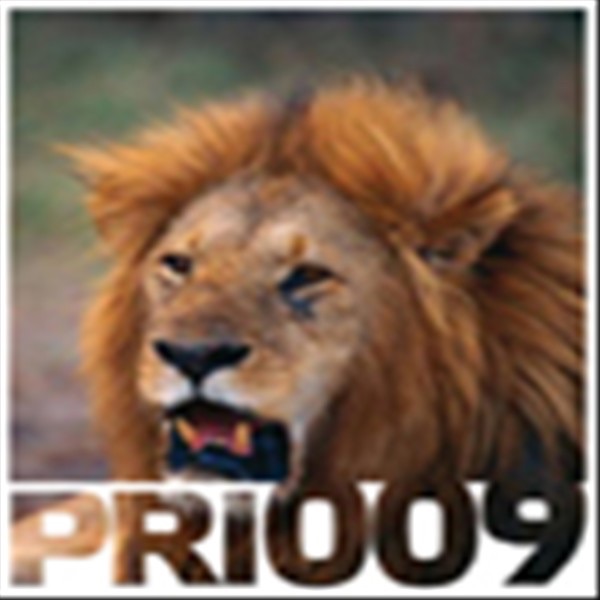 In Your Face / Discorunning - Single album cover